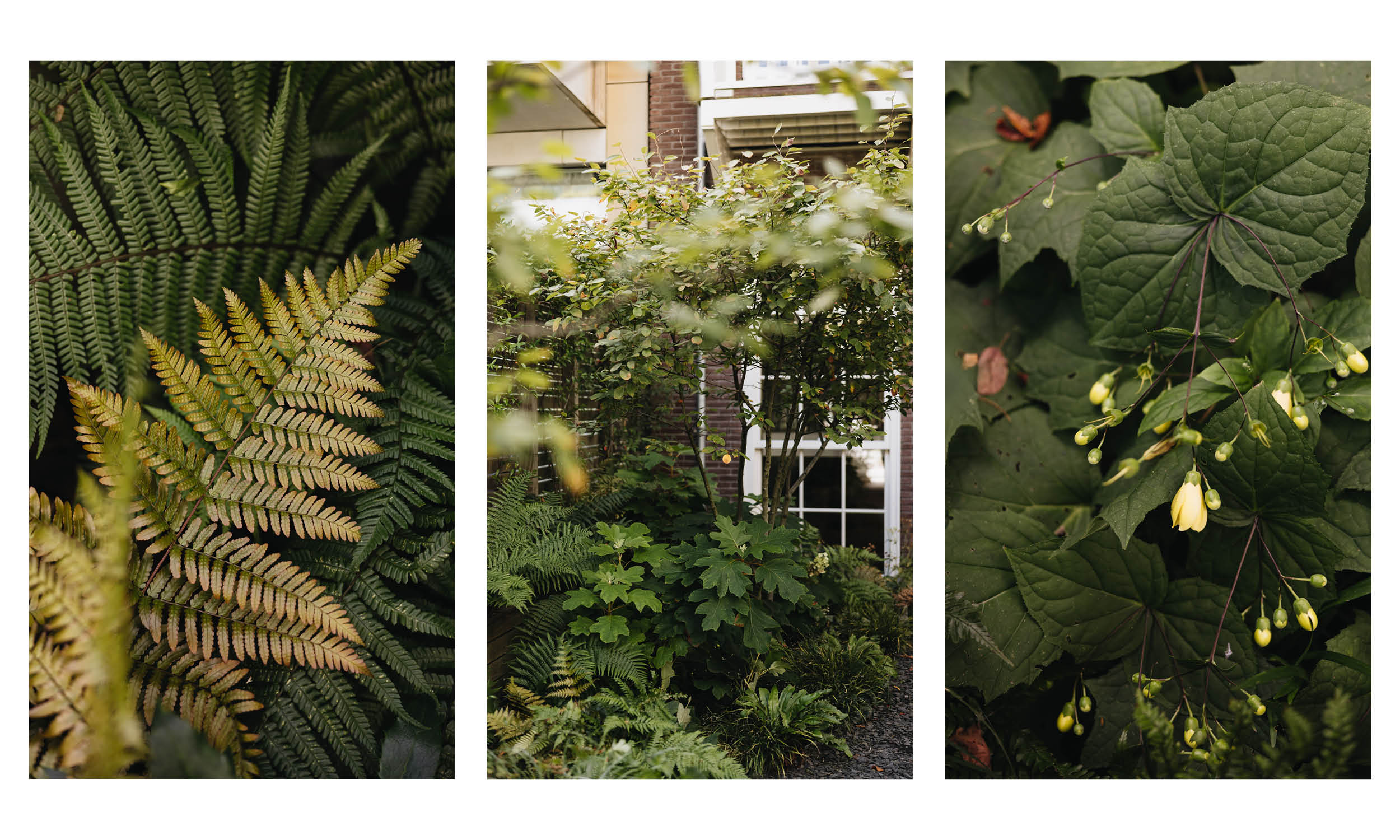 Prinsengracht - Summer7