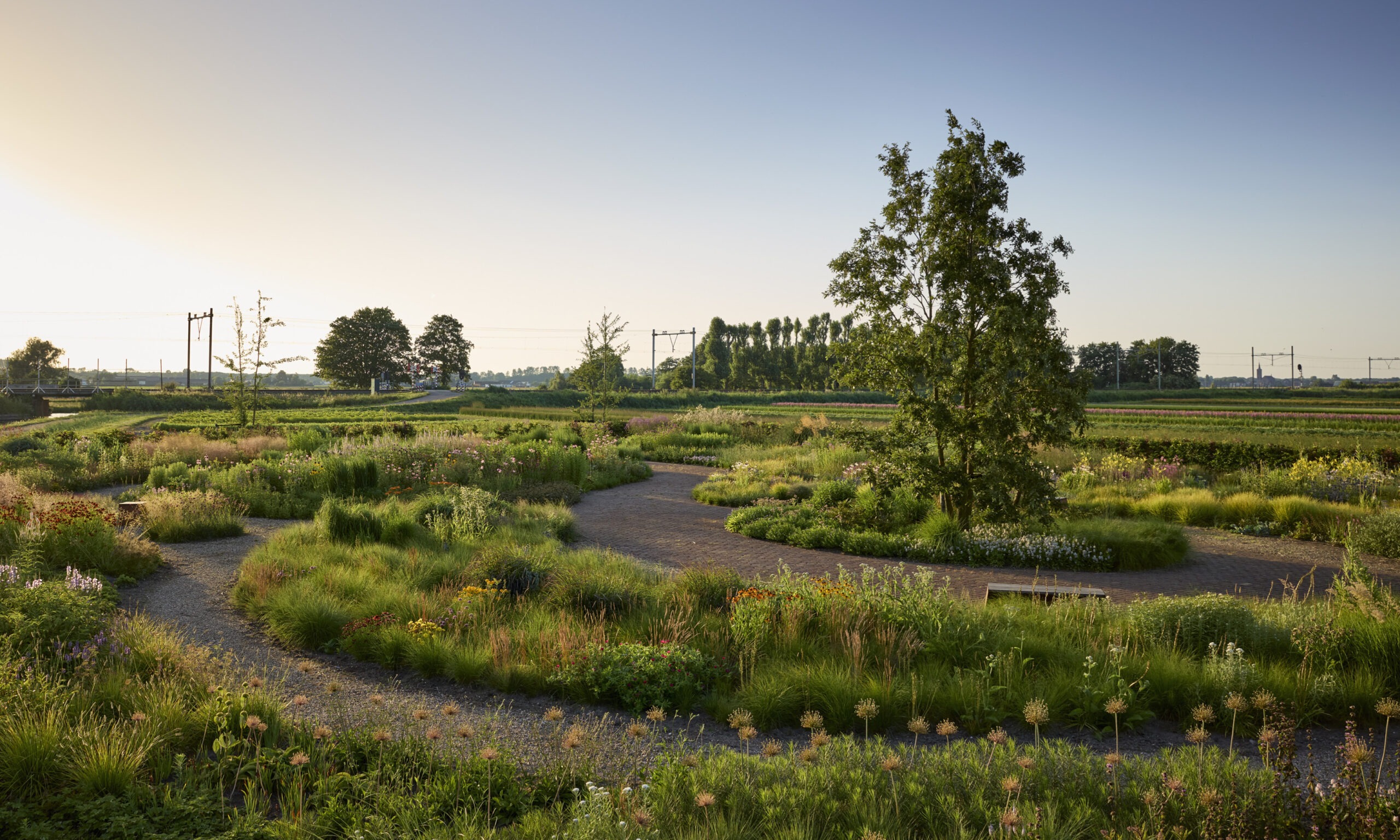Stefano Marinaz Future plants3
